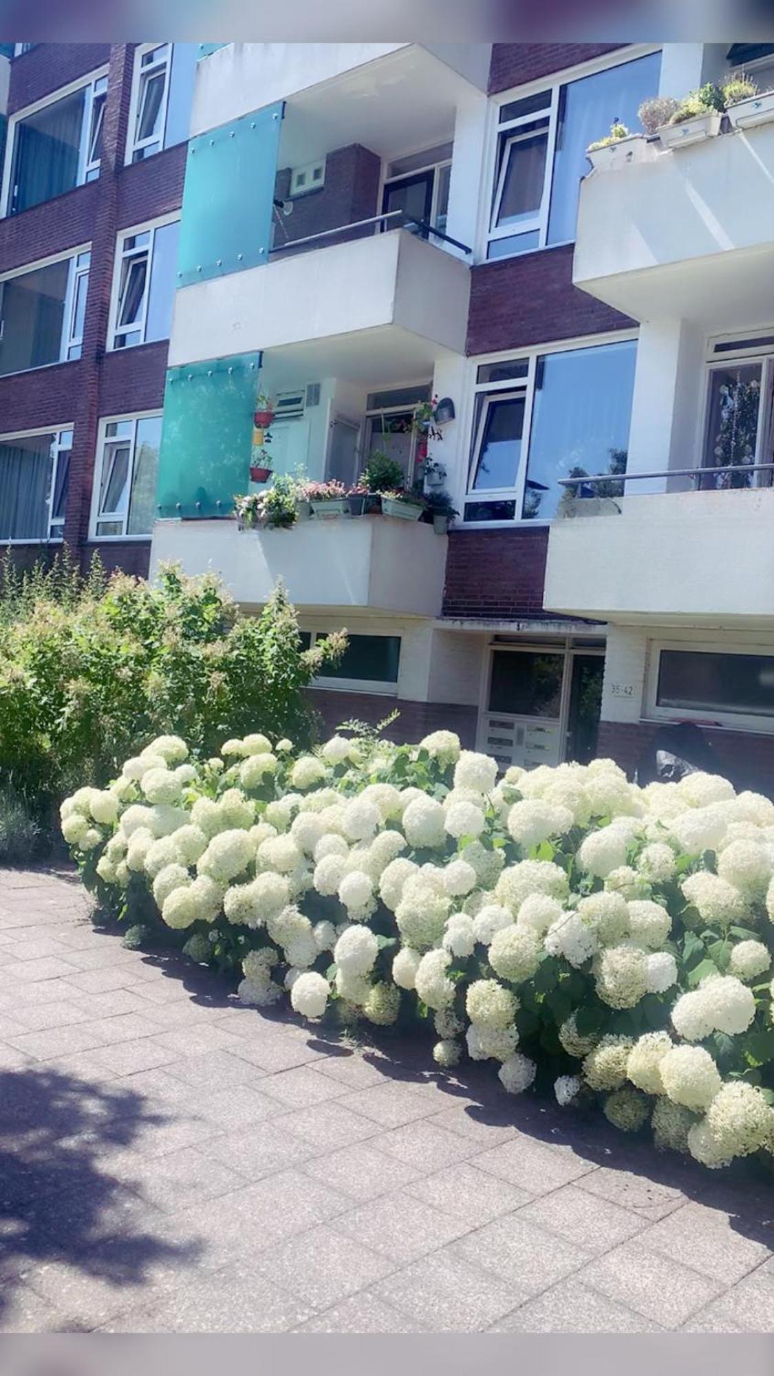 Keycity Apt Near Amsterdam & The Hague Leiden Exterior photo